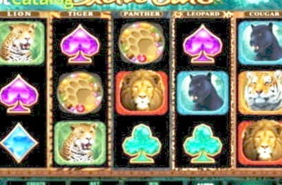 ﻿$425 FREE CHIP CASINO at Leo Dubai Casino