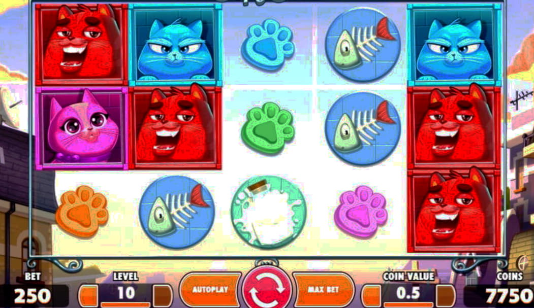 275% No Rules Bonus! at Casino com