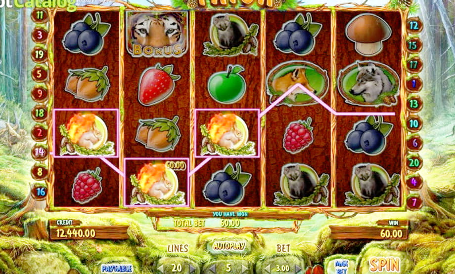 195 Loyal Free Spins! at William Hill Casino