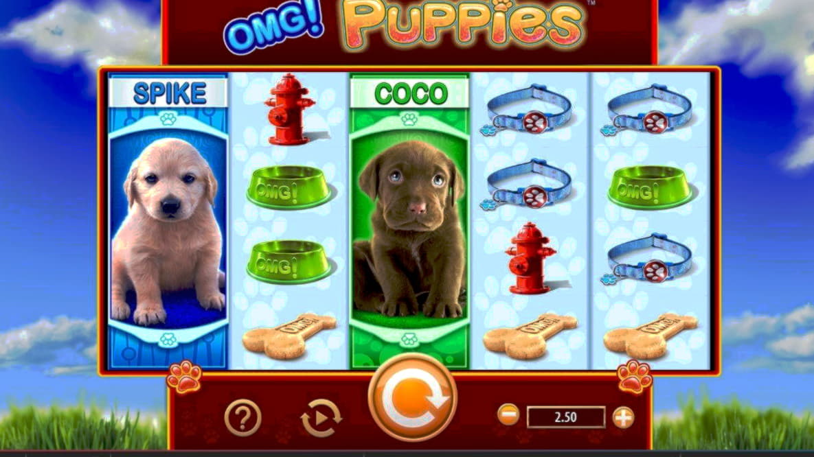 €325 Free Chip at Leo Vegas Casino