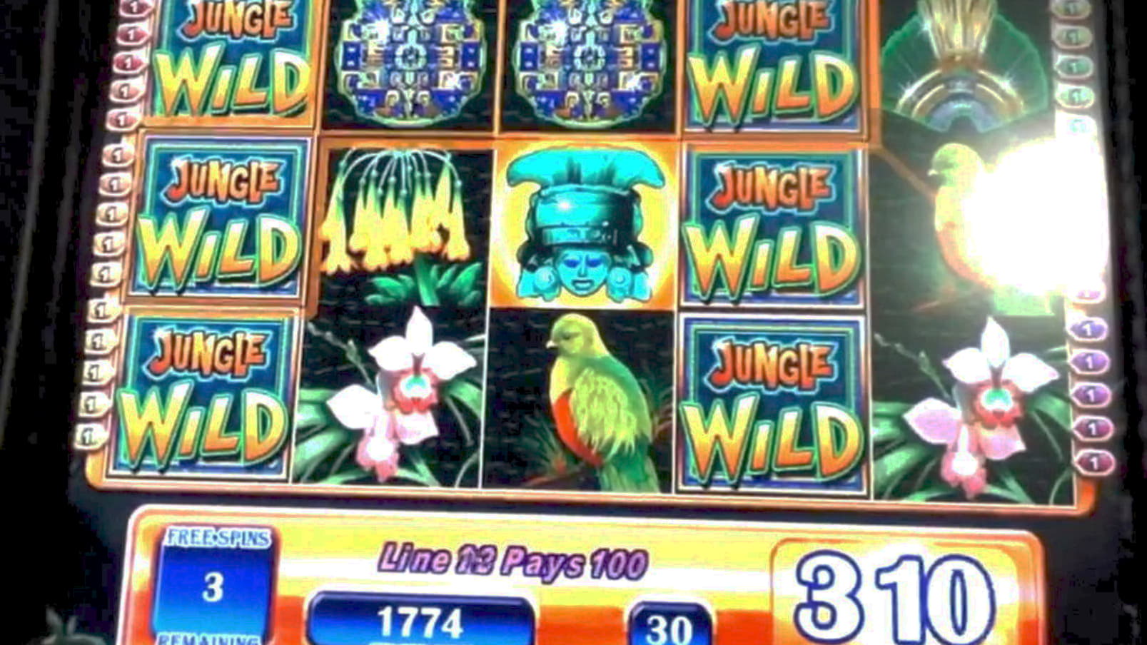 $2525 NO DEPOSIT at Hippozino Casino