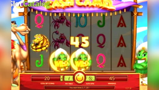 $165 Tournament at Slots Million Casino