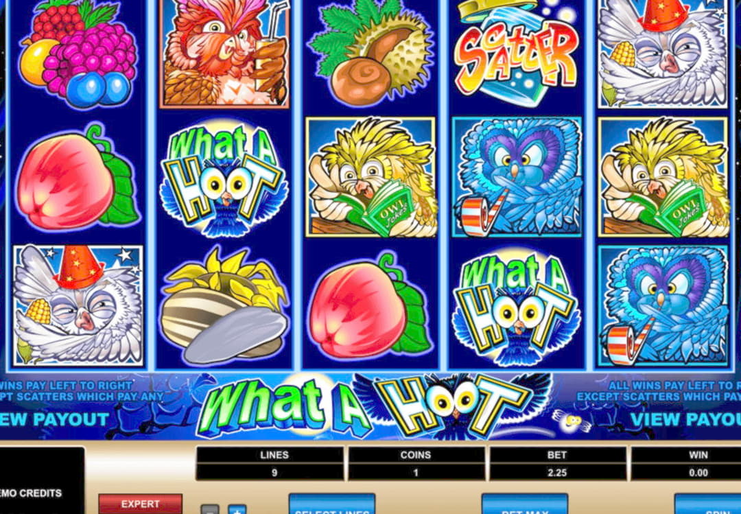 ﻿$4640 No deposit bonus at Guts Casino