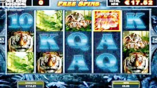 275 Free Spins right now at Rizk Casino