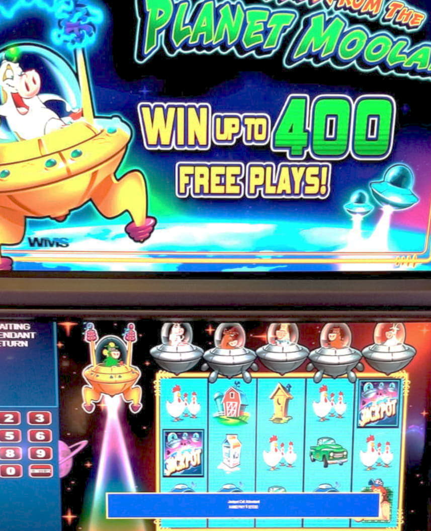 755% Best Signup Bonus Casino at Casino Cruise