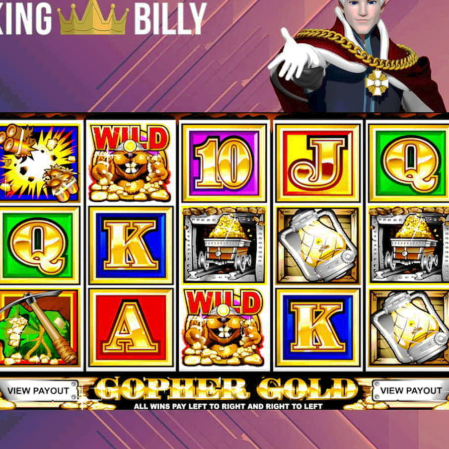 300% No Rules Bonus! at Rizk Casino