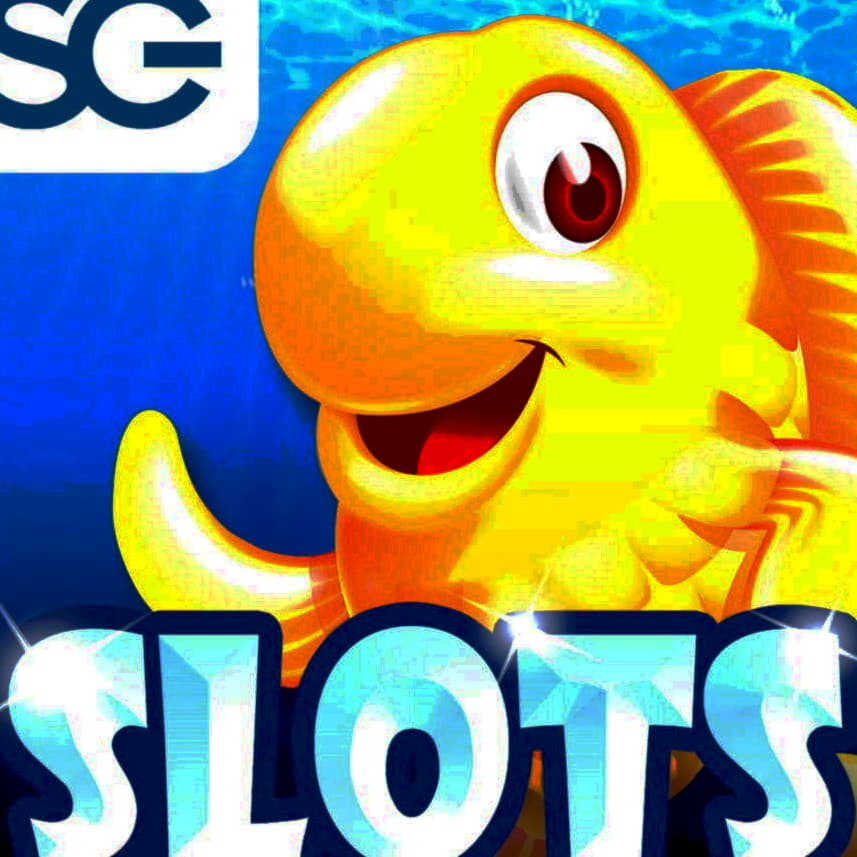 855% Match at a casino at Alf Casino