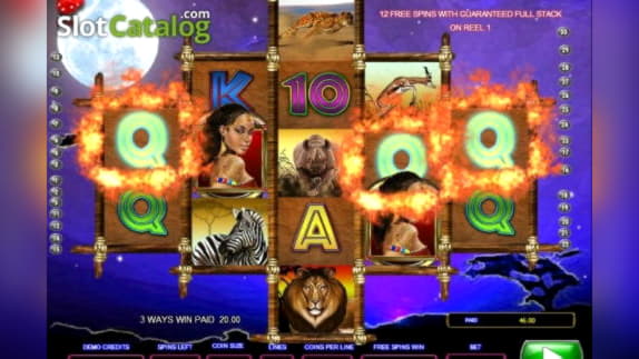 Eur 2465 No Deposit Bonus at Online Bets Casino