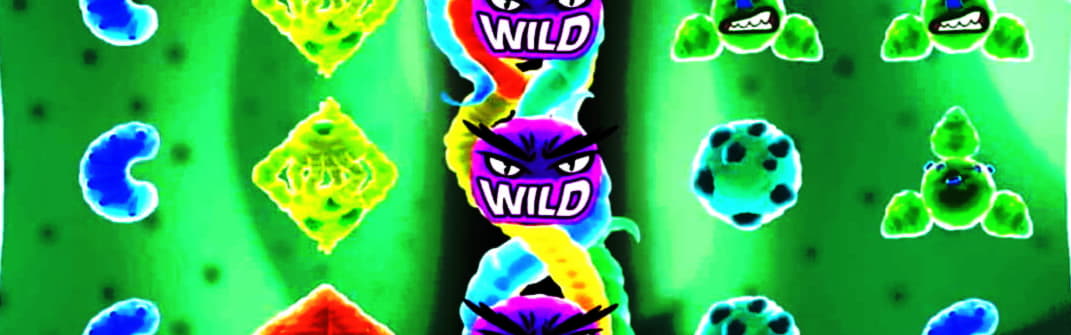155 Loyalty Free Spins! at 7 Reels Casino