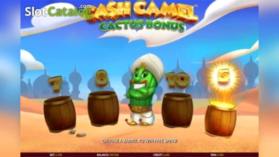 £770 Daily freeroll slot tournament at Hippozino Casino