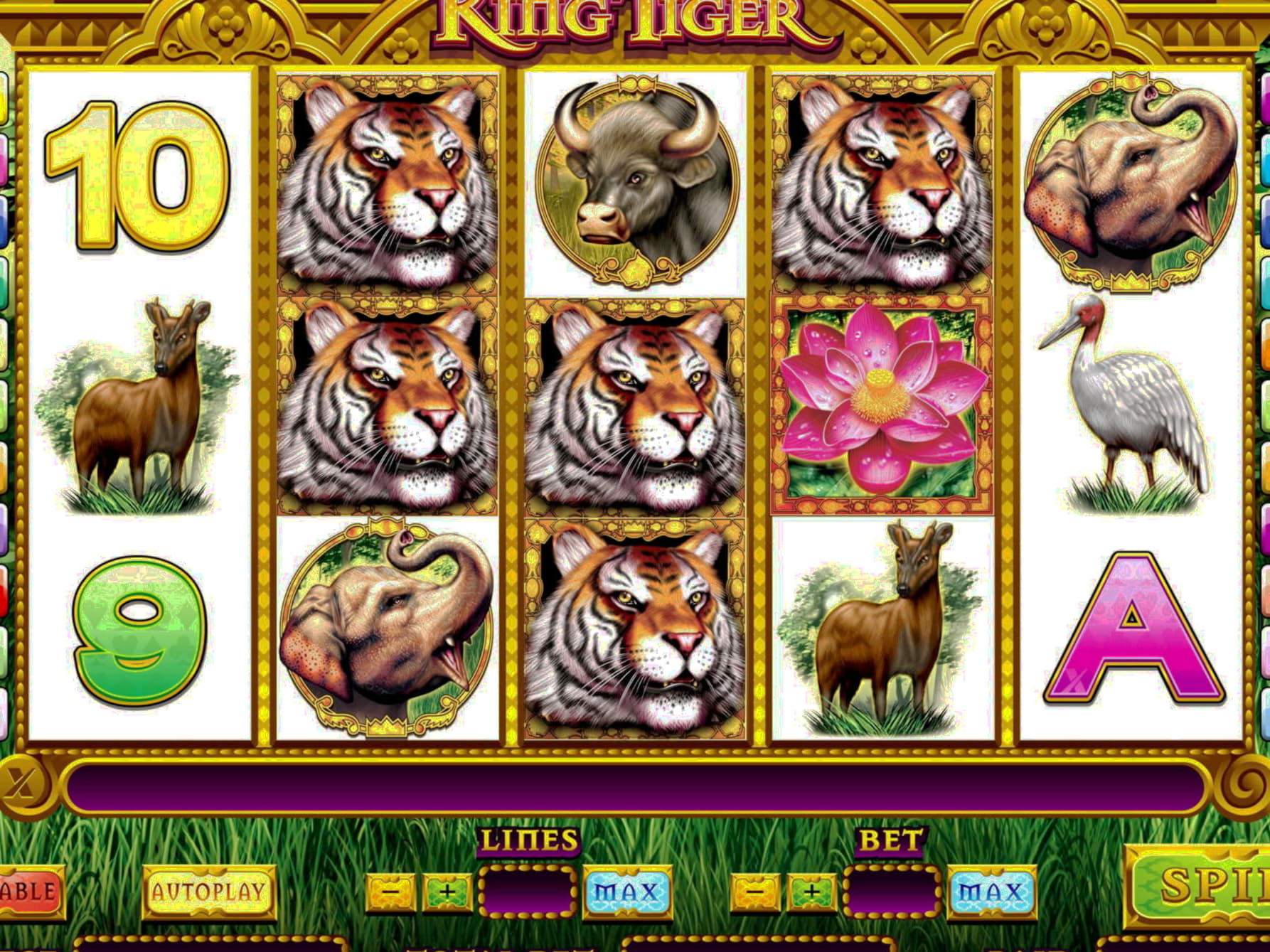 ﻿$725 Daily freeroll slot tournament at Betway Casino