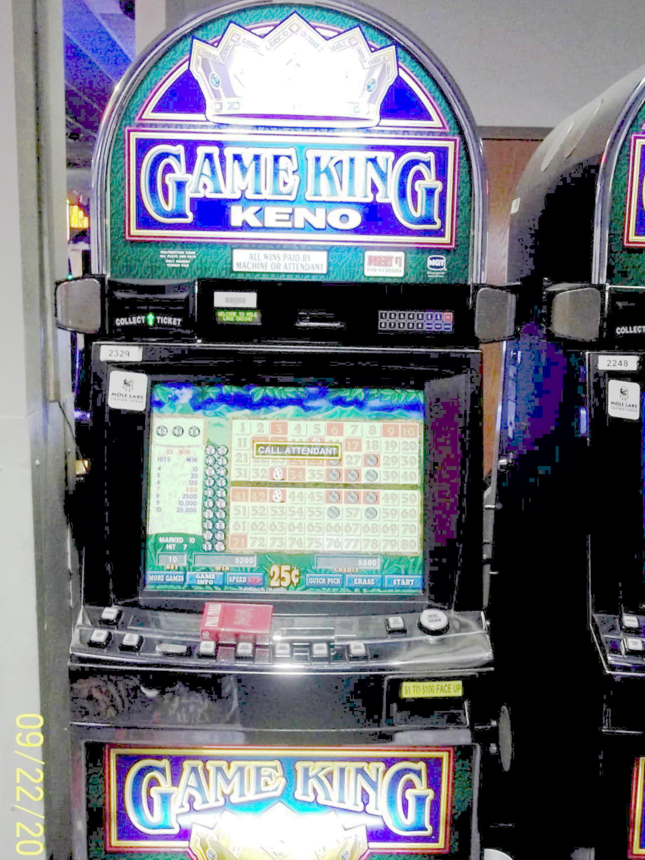 195 Free spins no deposit at Guts Casino
