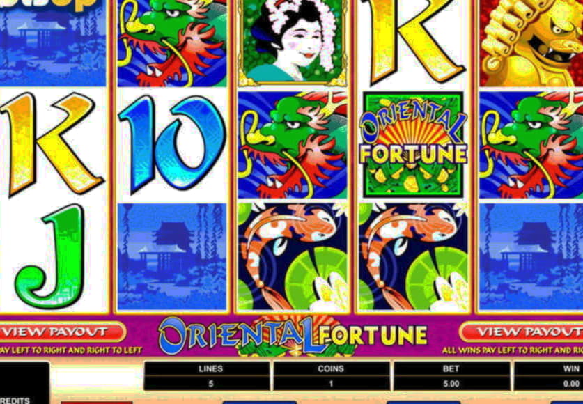 Eur 950 No Deposit at Rizk Casino