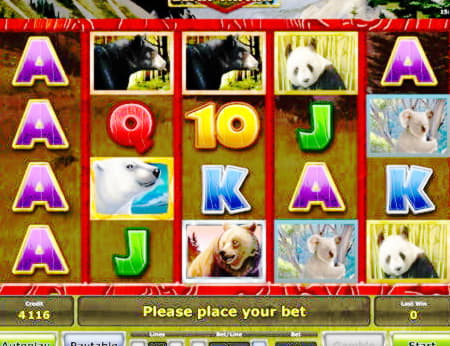 660% First deposit bonus at Rizk Casino