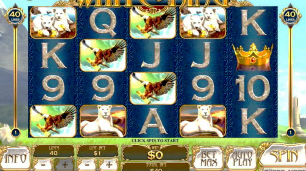 EUR 255 Tournament at Hippozino Casino