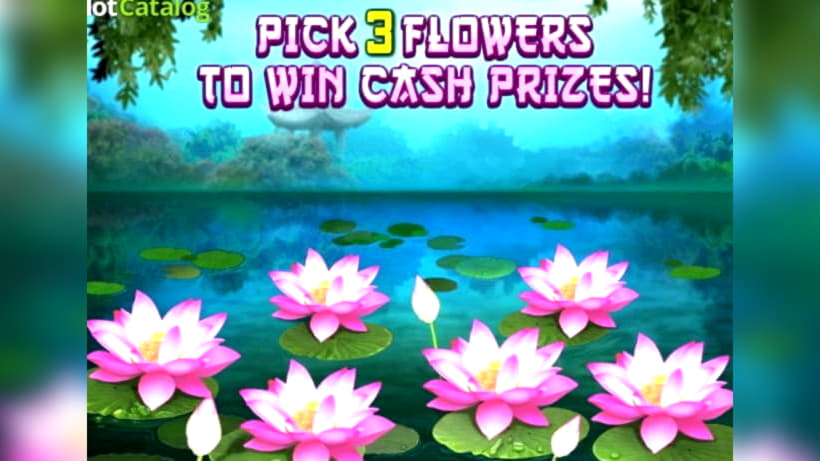 35 free casino spins at Party Casino
