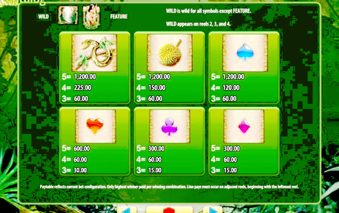 675% No Rules Bonus! at Dunder Casino