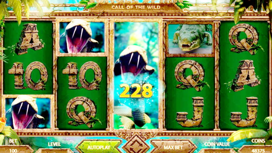 45 Loyal Free Spins! at Rizk Casino