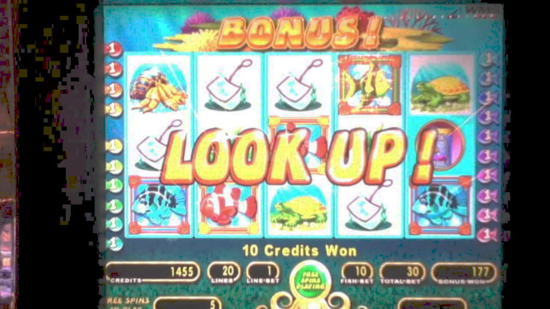 835% casino match bonus at Vera and Jhon Casino