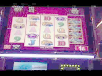 965% No Rules Bonus! at BGO Casino