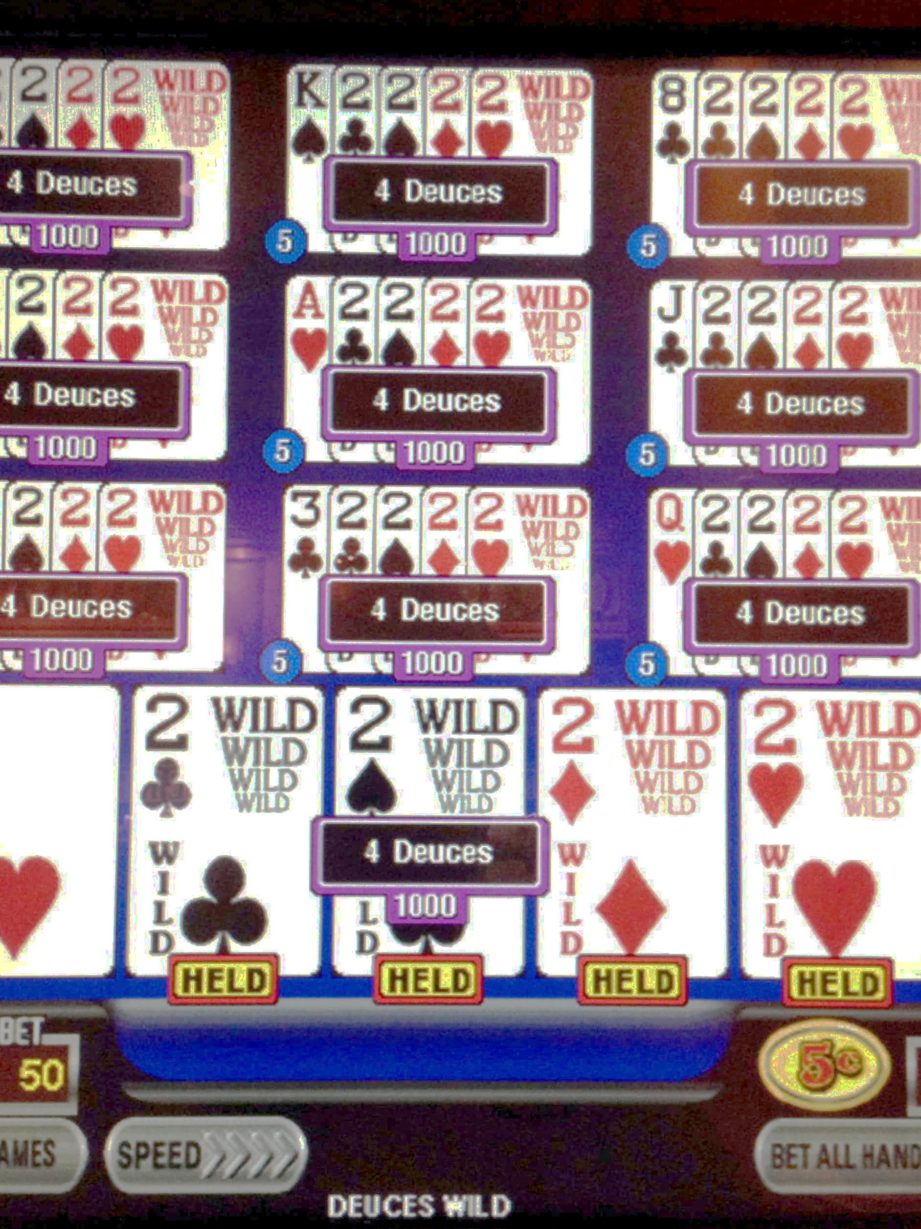 €66 Free Casino Tournament at Hippozino Casino