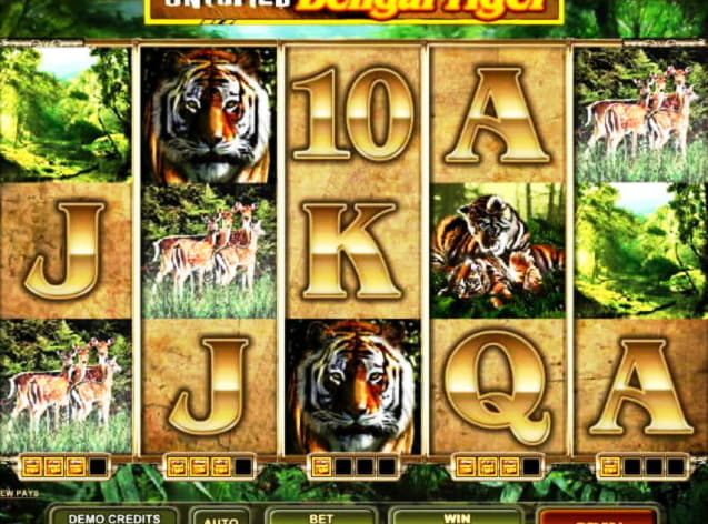 720% Casino Welcome Bonus at 7 Reels Casino