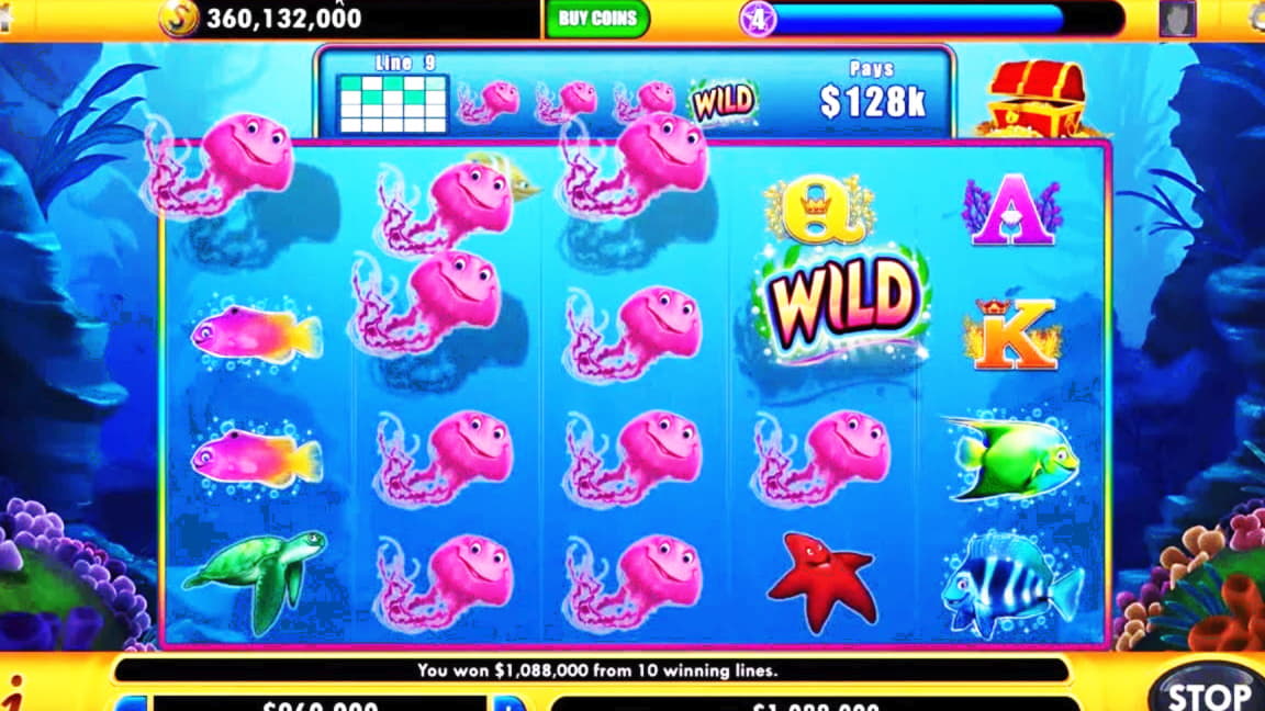 135 free spins no deposit casino at Hippozino Casino