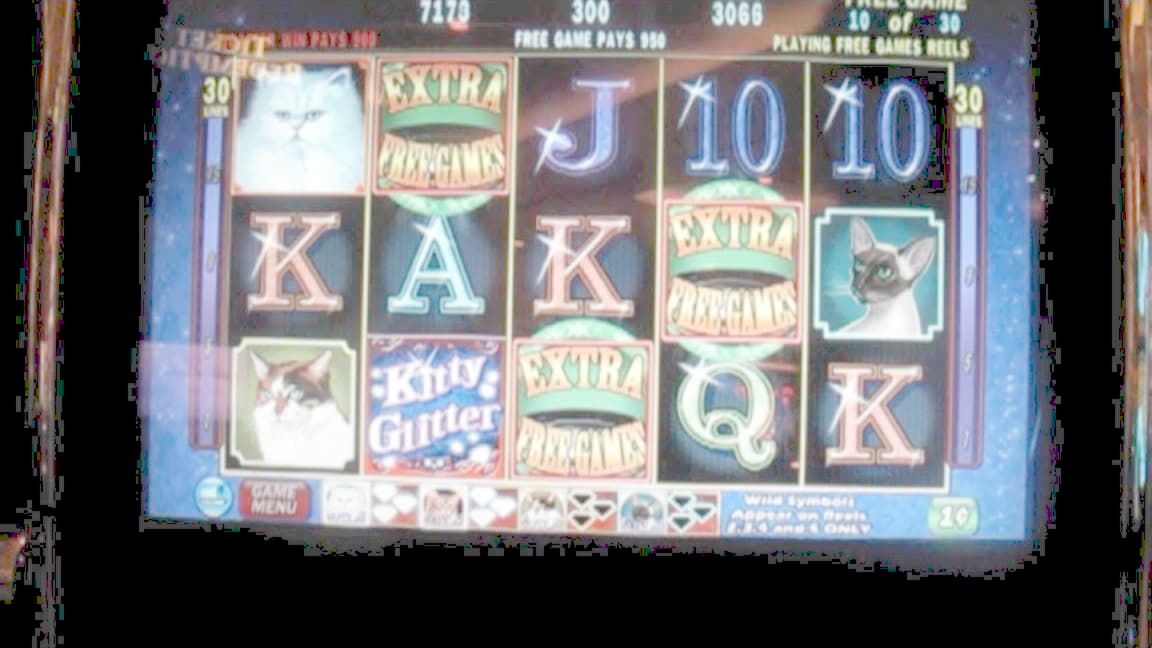€3835 no deposit at 7 Reels Casino