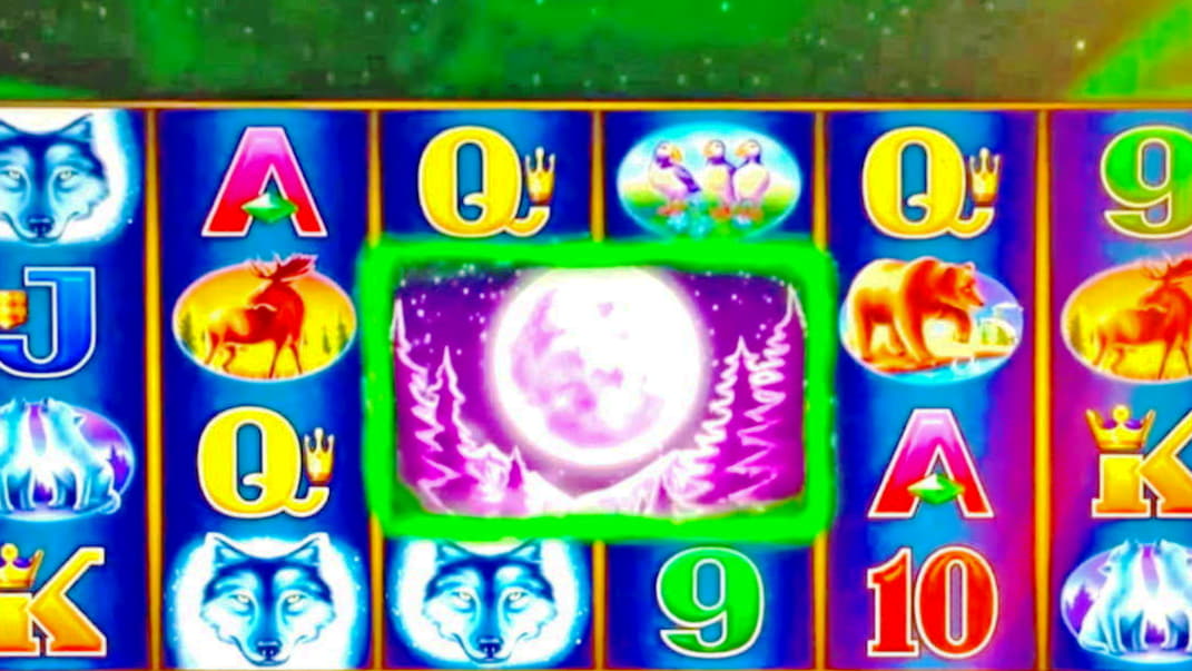 480% First Deposit Bonus at Casino Cruise