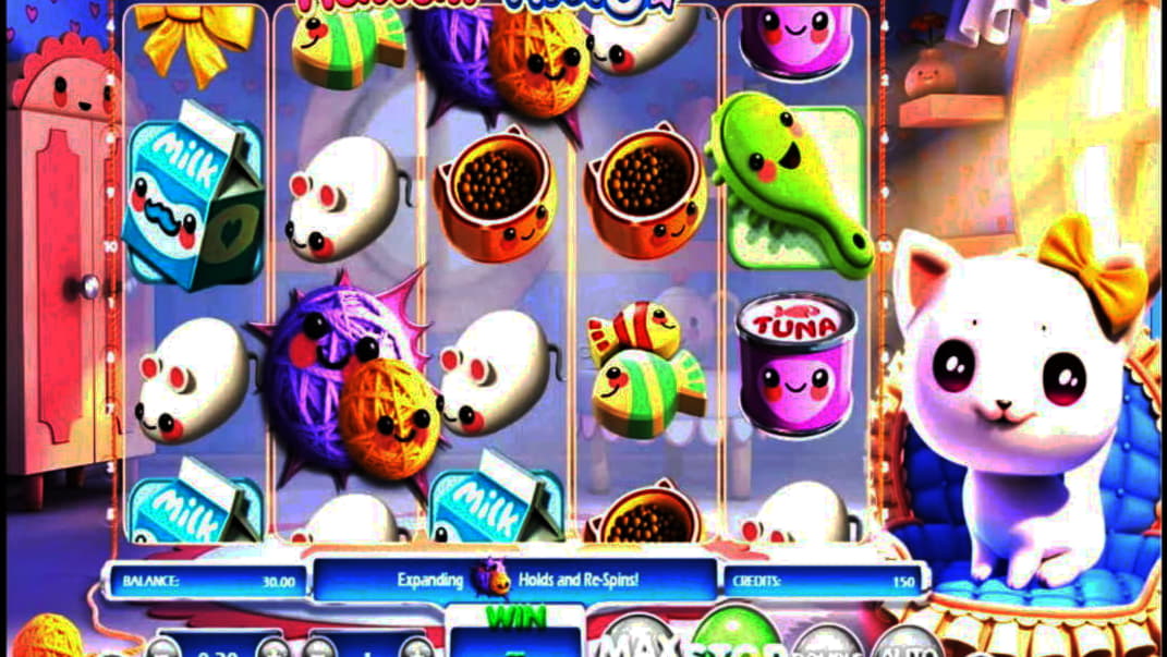 EUR 330 Tournament at BGO Casino