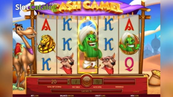 275 Free Spins no deposit at Hippozino Casino