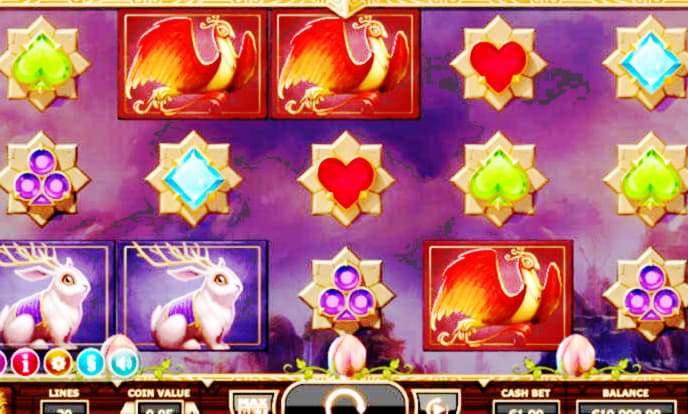 585% No Rules Bonus! at William Hill Casino