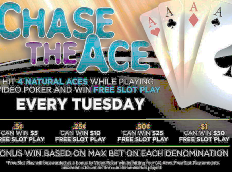 800% Match bonus casino at Hippozino Casino