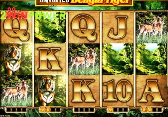 35 FREE SPINS at bWin Casino