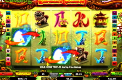 170 Free spins no deposit at Hippozino Casino