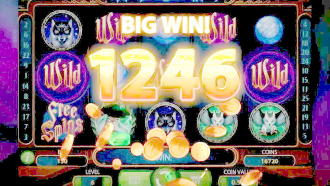 660% First Deposit Bonus at Vera and Jhon Casino