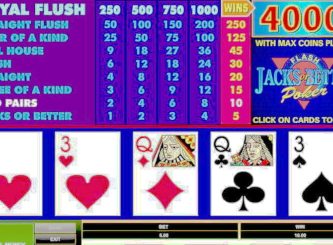 €4615 no deposit bonus at Leo Dubai Casino