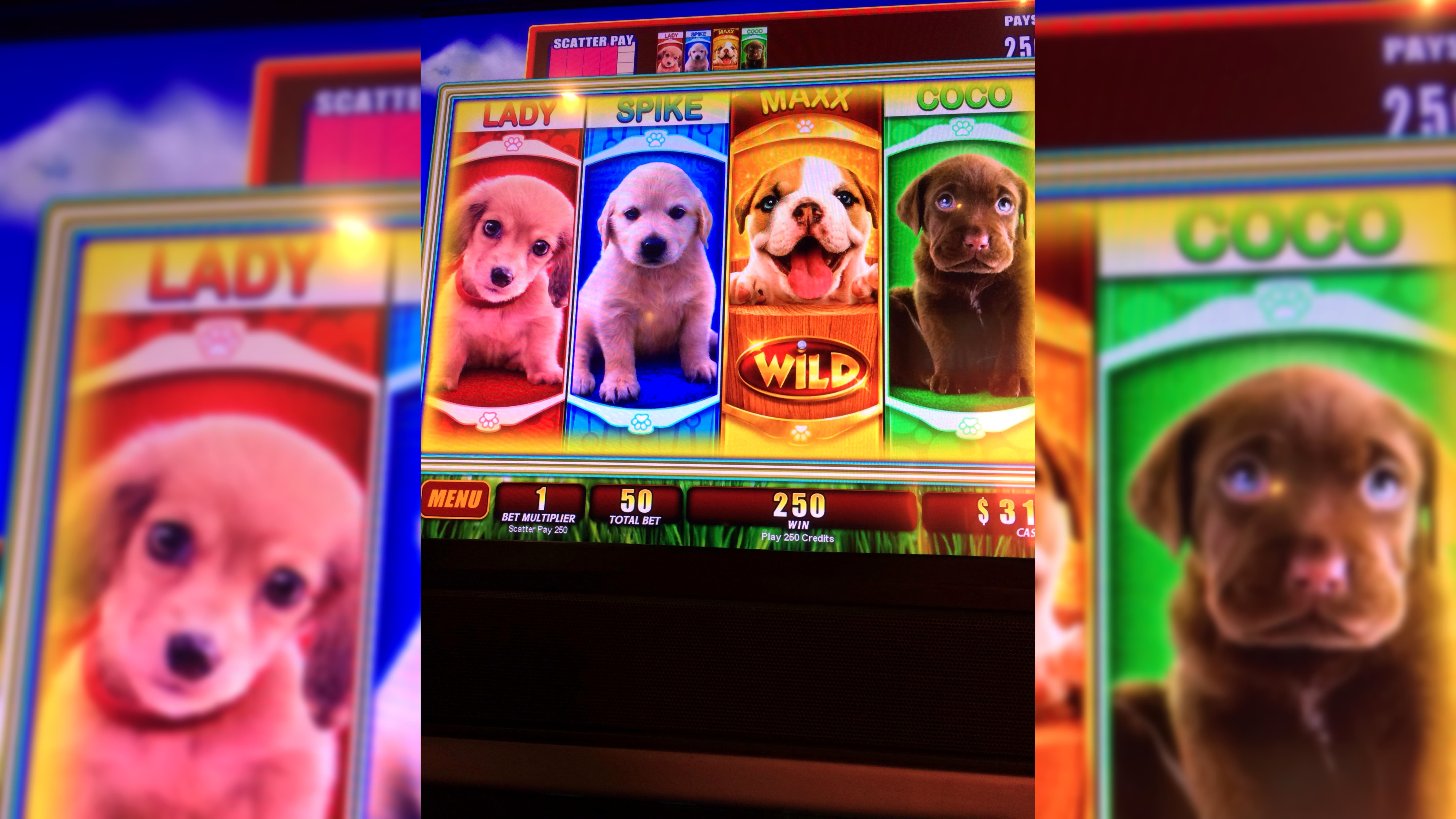 £1965 no deposit bonus code at Energy Casino