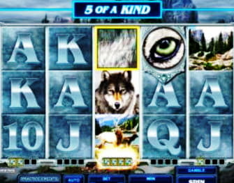 EURO 3140 No deposit bonus casino at Inter Casino