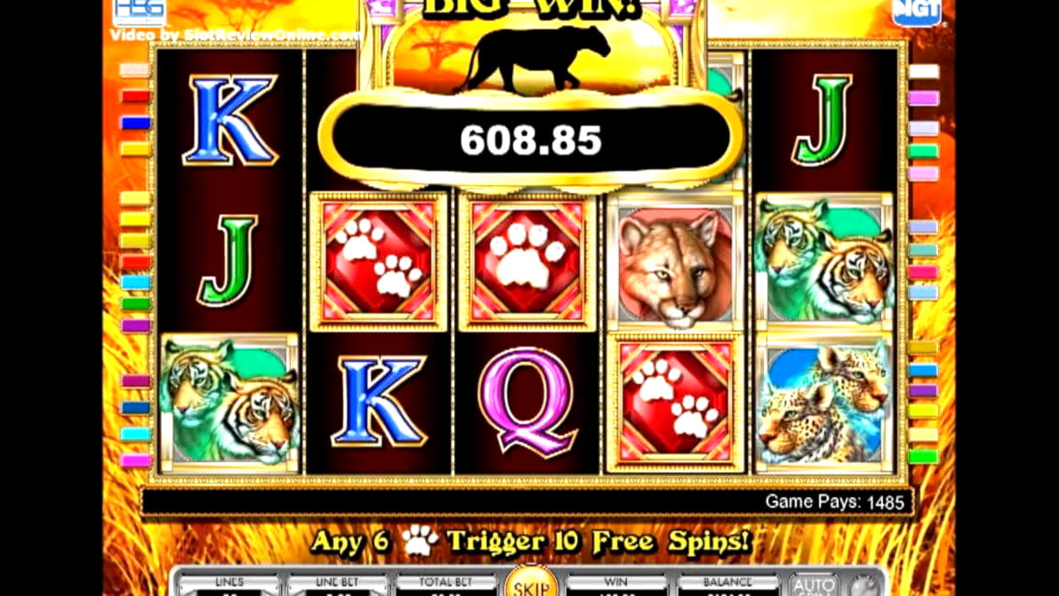 77 Free Spins right now at Europa Casino