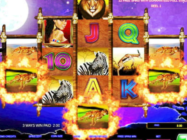 £1185 No Deposit at Spin Palace Casino