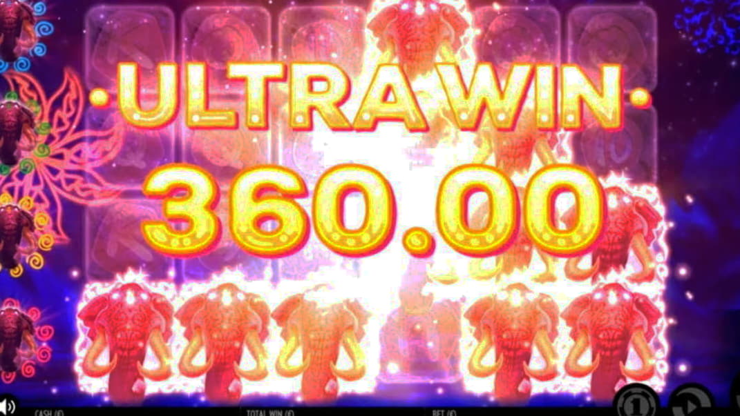 €635 Online Casino Tournament at Online Bets Casino