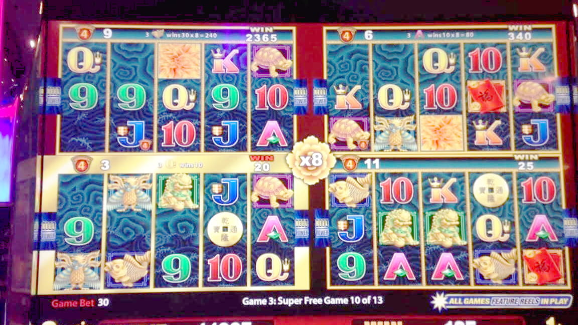 240 free spins no deposit at Hippozino Casino