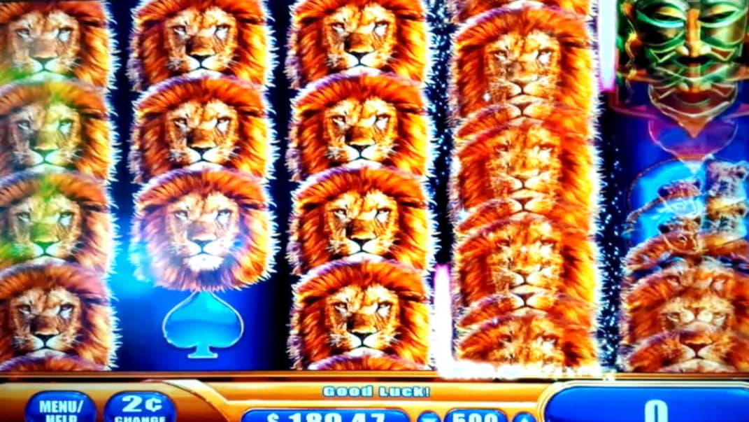 145 free spins at Rizk Casino