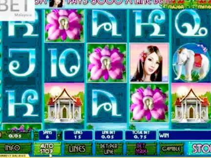 15 free casino spins at Buzzluck Casino