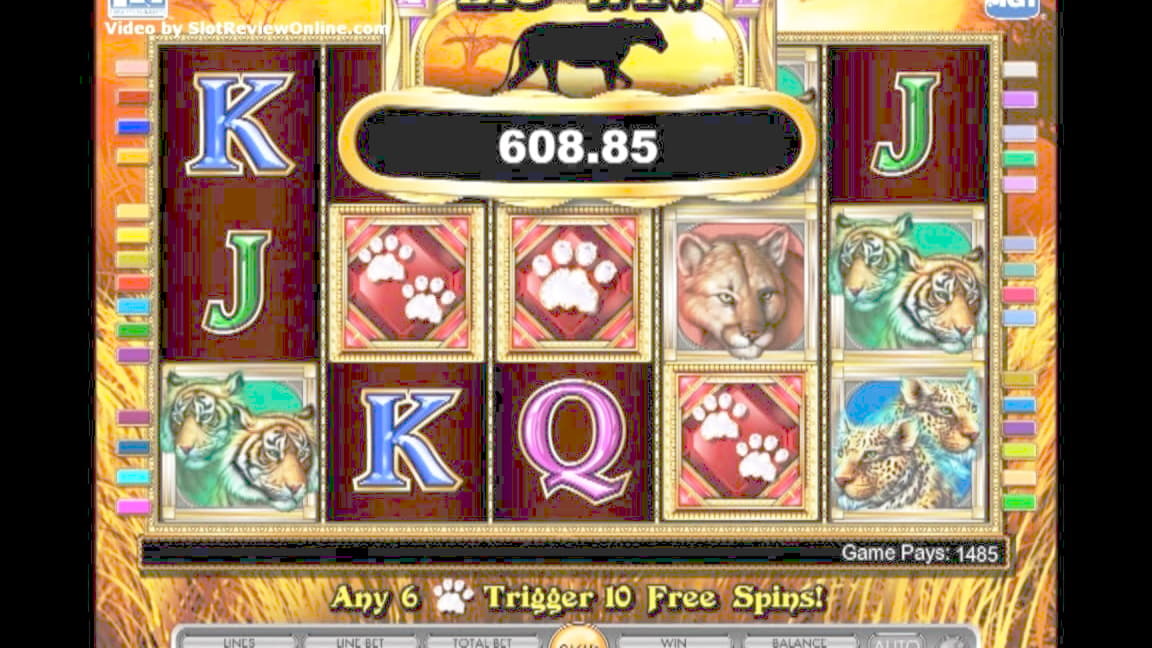 $770 Online Casino Tournament at Rizk Casino