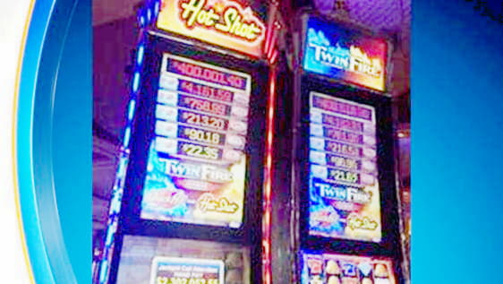 66 free spins casino at Hippozino Casino