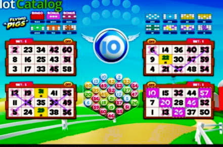 225 Free Spins right now at BGO Casino