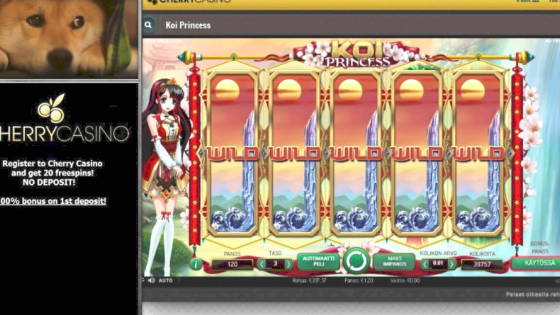 €560 no deposit at Dunder Casino
