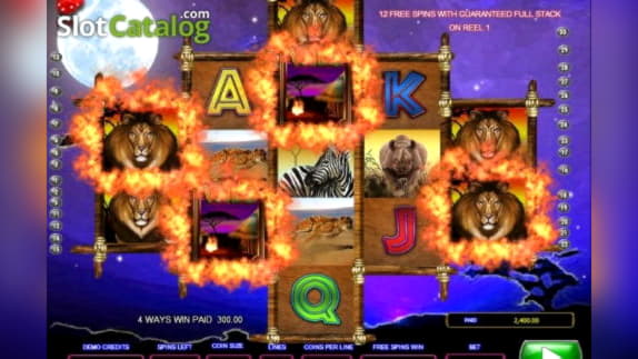 125 Free spins at Spin Palace Casino